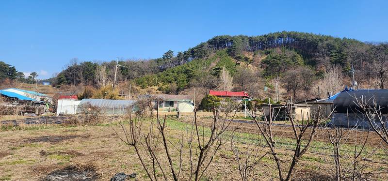 아산 송악면 마곡리 고즈넉 시골집 전원주택 매매 (6).jpg