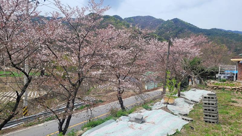 전남 곡성 죽곡면 낭만 전원주택 시골집 매매 (12).jpg