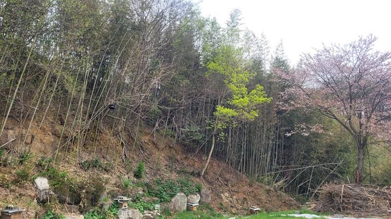 전남 곡성 죽곡면 낭만 전원주택 시골집 매매 (13).jpg