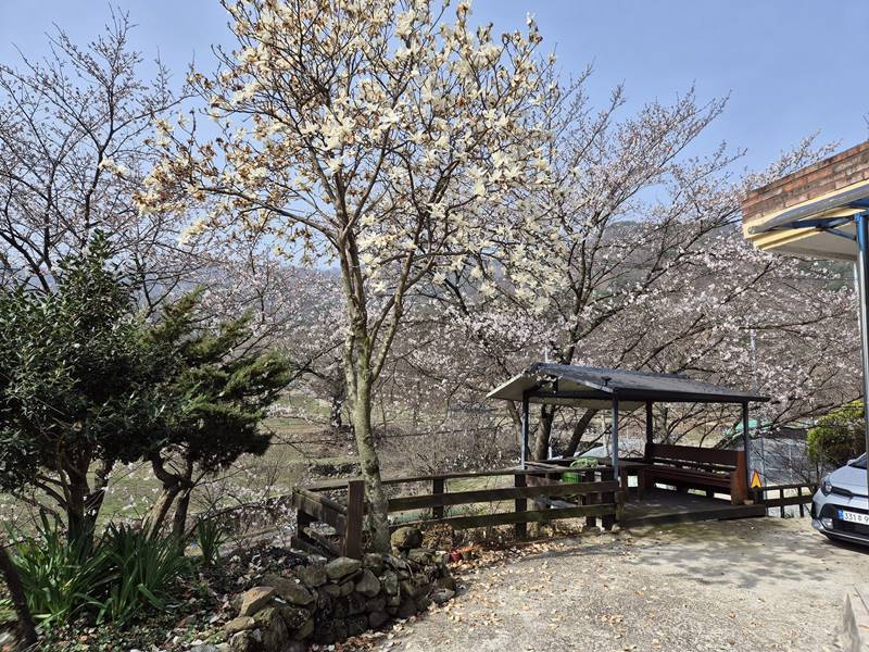 전남 곡성 죽곡면 낭만 전원주택 시골집 매매 (17).jpg