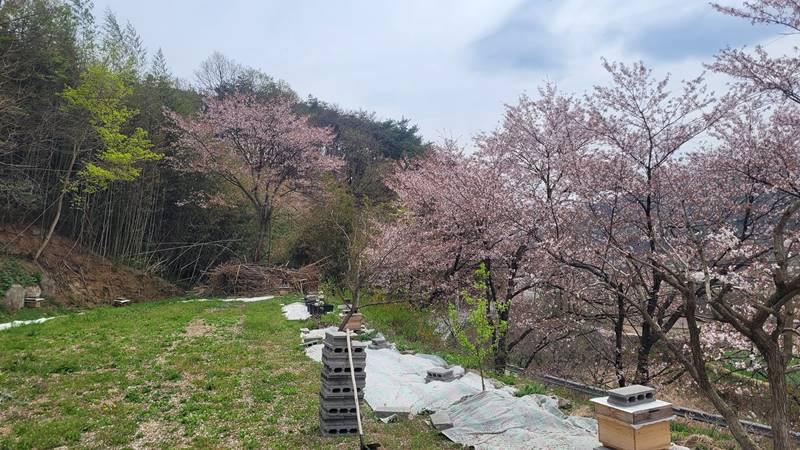 전남 곡성 죽곡면 낭만 전원주택 시골집 매매 (15).jpg