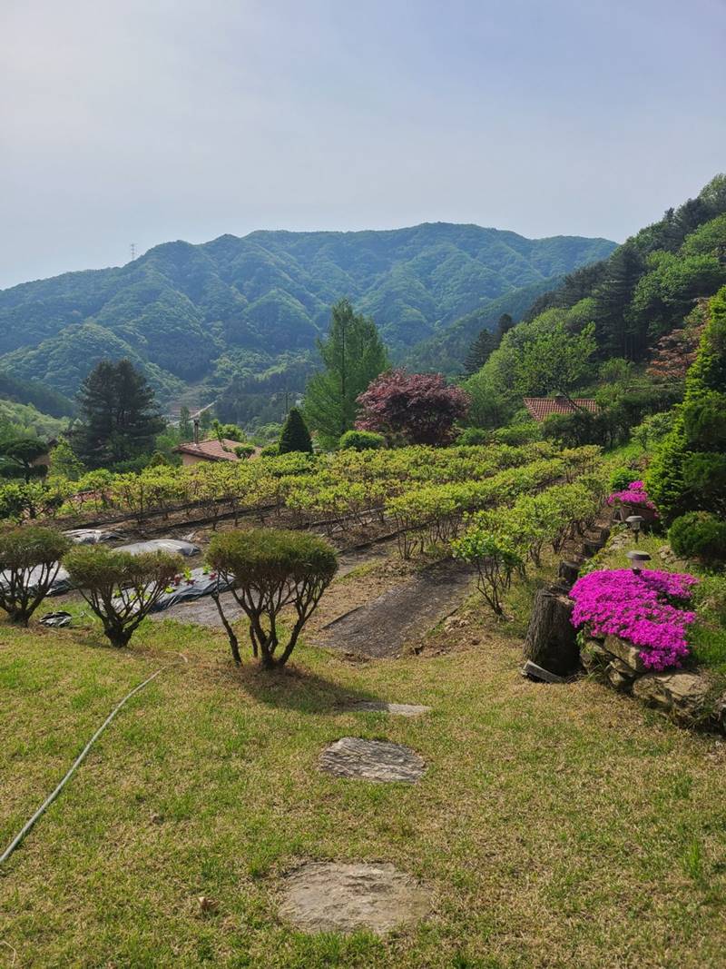 경기도 가평 두밀리 뷰 좋은 전원주택 매매 32.jpg