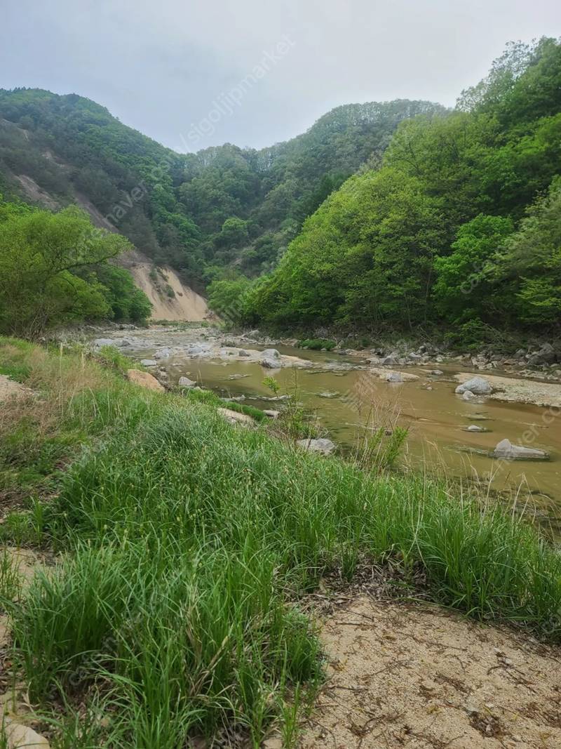 경북 봉화 계곡 농막 산속 개인캠핑장 매매 3.jpg