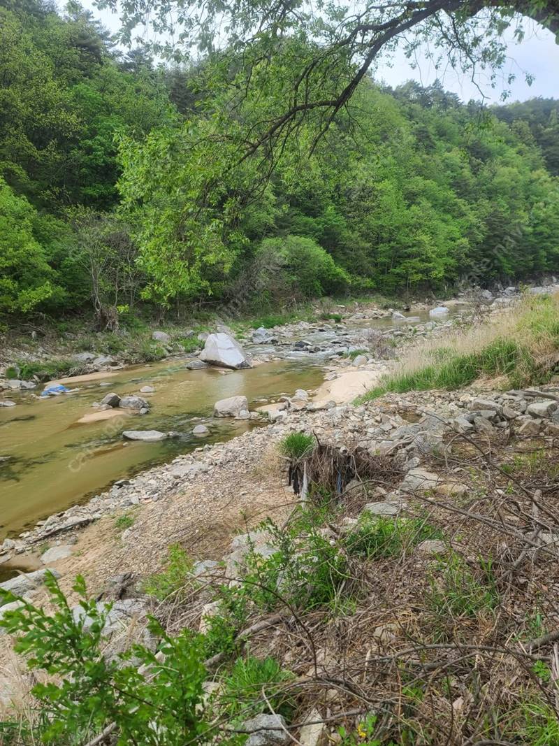 경북 봉화 계곡 농막 산속 개인캠핑장 매매 4.jpg