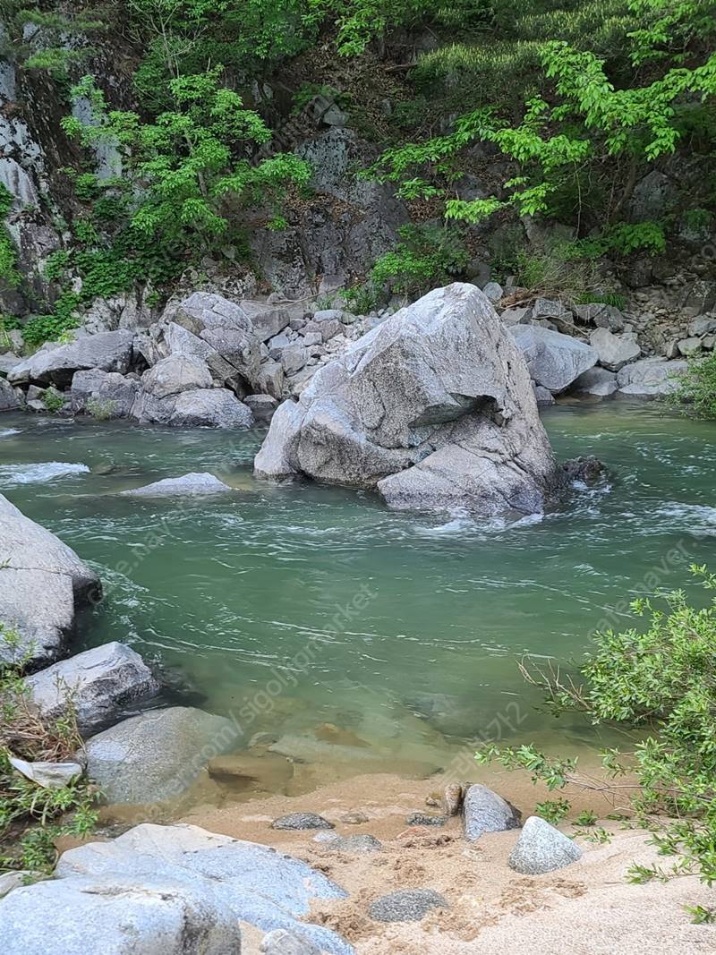 경북 봉화 계곡 농막 산속 개인캠핑장 매매 7.jpg