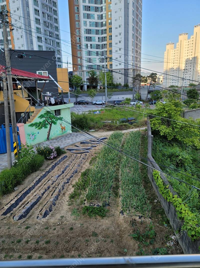 충남 옥천 옥천읍 시내권 단독주택 매매 2.jpg