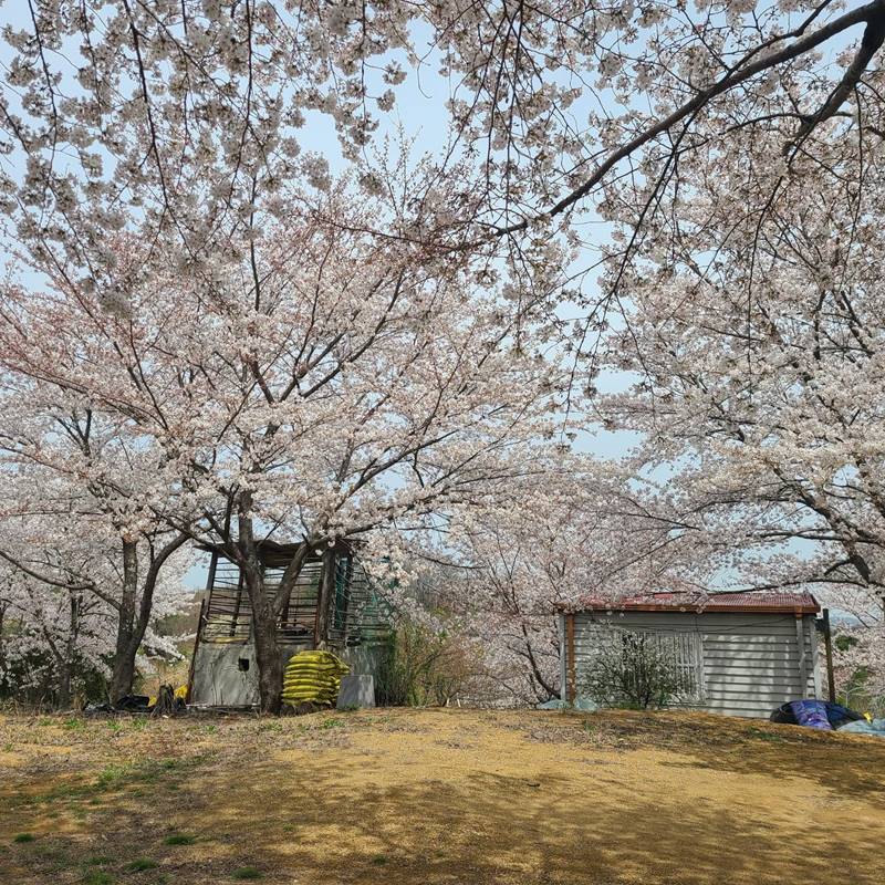 경남 진주 상대동 개인 캠핑장 놀이터 농막 월세 임대 5.jpeg