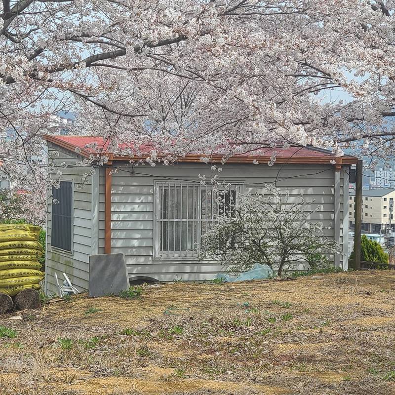 경남 진주 상대동 개인 캠핑장 놀이터 농막 월세 임대 1-1.jpeg