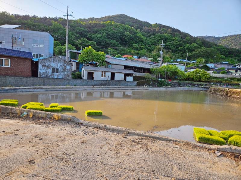 경남 남해 죽전리 낭만 주택 시골집 매매 73.jpg