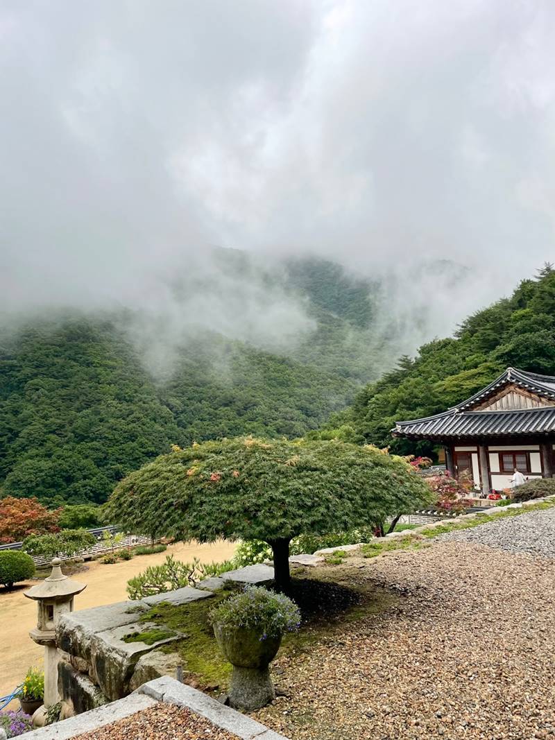 충북 영동 매곡면 강진리 시골집 세컨하우스 매매 (10).jpg