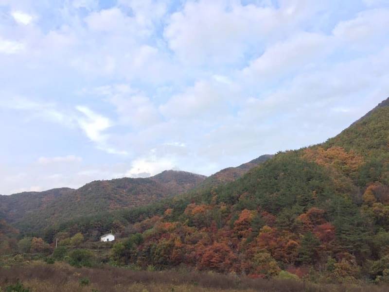 경북 영덕 옥계리 청정 주택 캠핑장 부지 매매 6.jpg