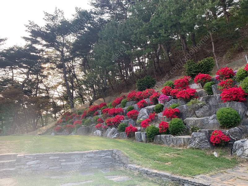 충남 아산 송악면 감성 충만 전원주택 전세 임대 4-1.jpg