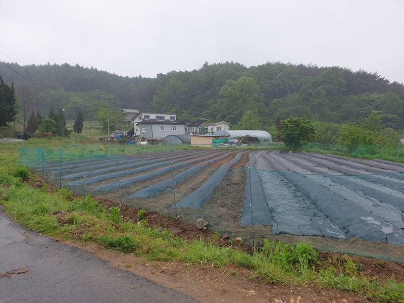 충남 보령 귀농 농가주택 합리적 세컨하우스 매매 1.jpg