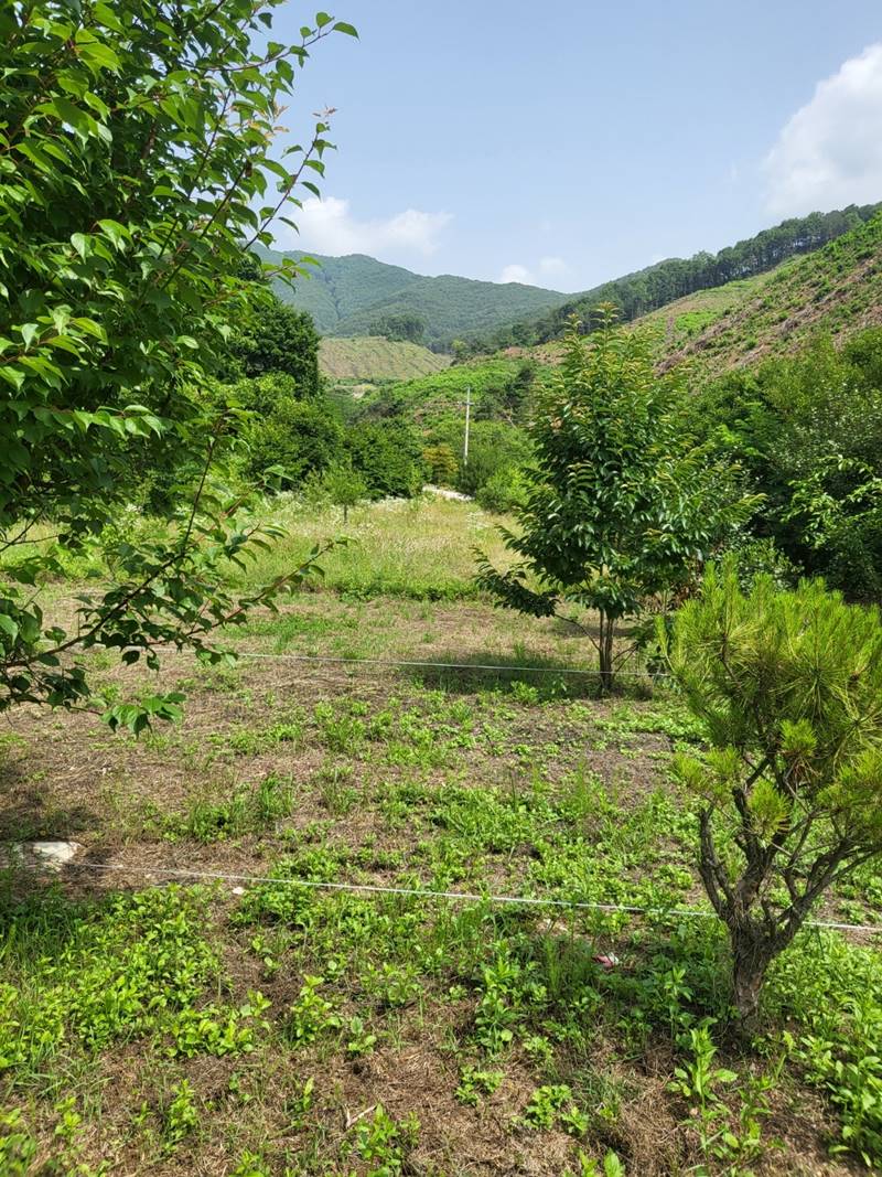 경북 영주 풍기읍 뷰 좋은 땅 농막 매매 (5).jpg