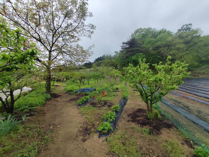 충주 엄정면 원곡리 단정한 전원주택 시골집 매매 6.jpg