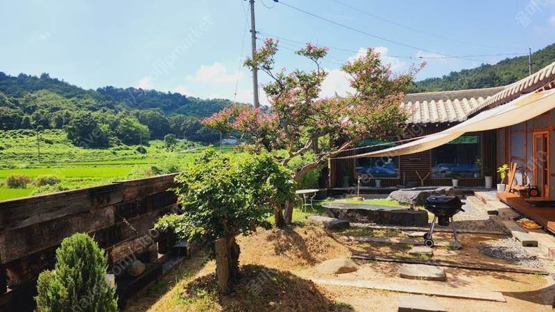 충남 서천 독채 한옥집 에어비앤비 펜션 매매 (2).jpg