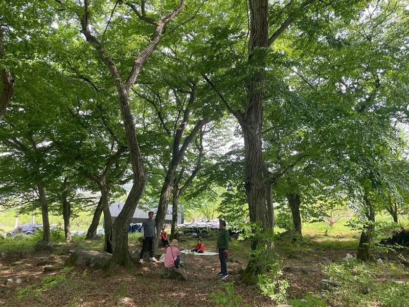 전북 임실 오수면 자연인 녹차밭 농막 매매 (3).jpg