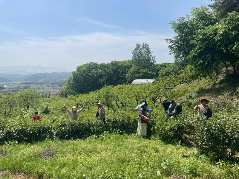 전북 임실 오수면 자연인 녹차밭 농막 매매 (2).jpg