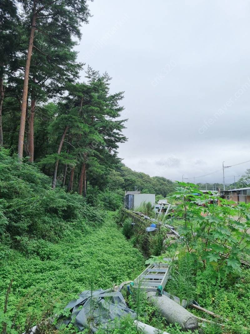 경북 울진 죽변면 독특한 주택 시골집 매매 26.jpg