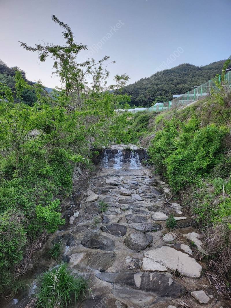 경남 함양 병곡면 시골집 별장 월세 개인 캠핑장 임대 9.jpg