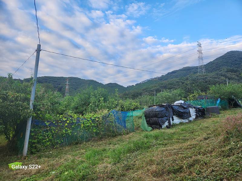 충남 부여 내산면 귀농 과수원 전원주택 매매 (8).jpg