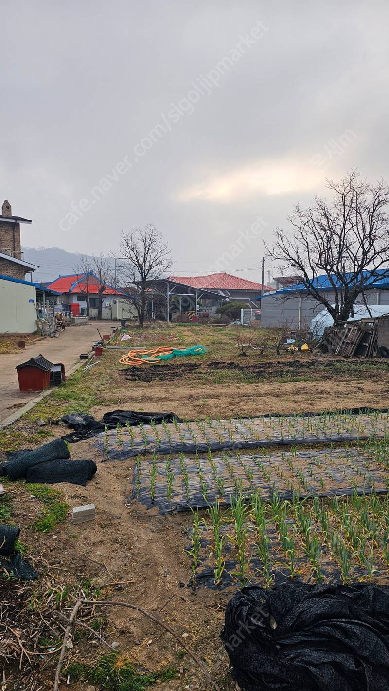 충남 공주 계룡면 튼튼 단독주택 전원주택 매매 15.jpg