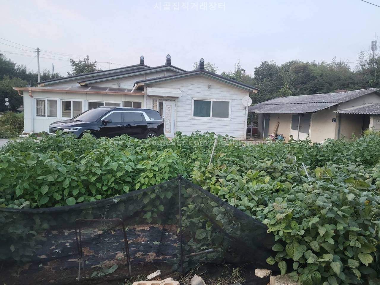 전북 고창 무장면 소박 시골집매매 촌집매매 8.jpg