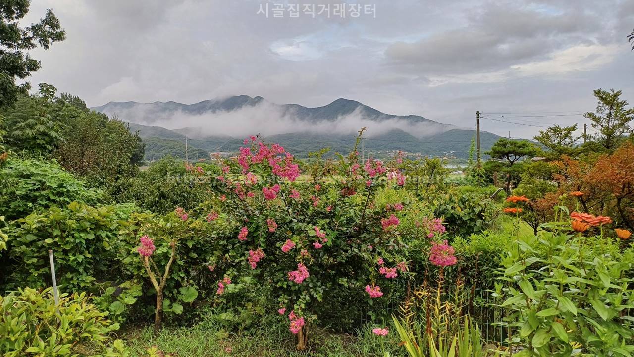 충남 아산 도고면 잘 가꾼 전원주택 시골집 매매 12.jpg