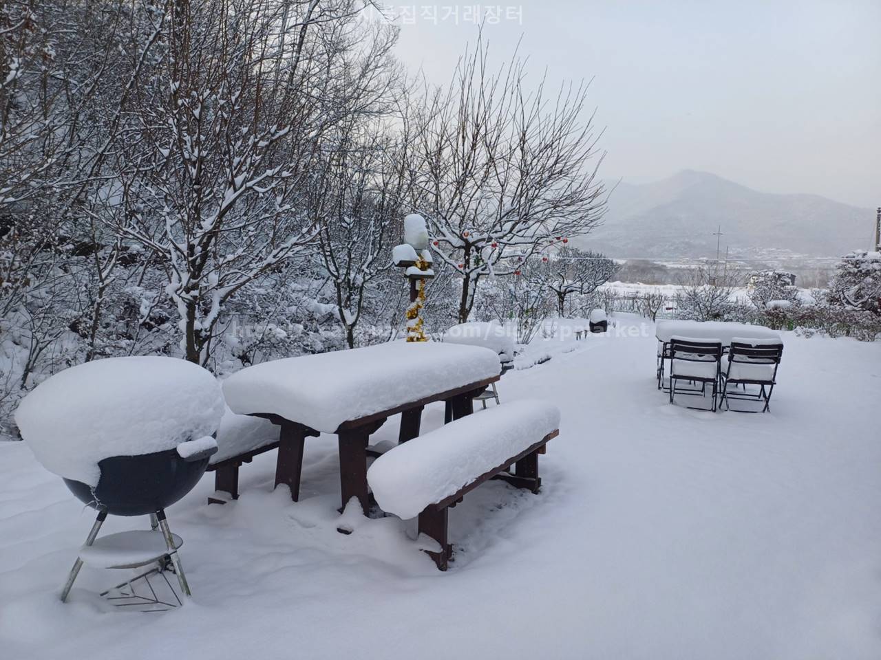 충남 아산 도고면 잘 가꾼 전원주택 시골집 매매 14.jpg