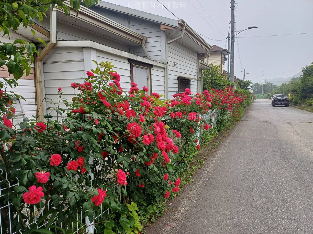 충남 아산 도고면 잘 가꾼 전원주택 시골집 매매 3.jpg