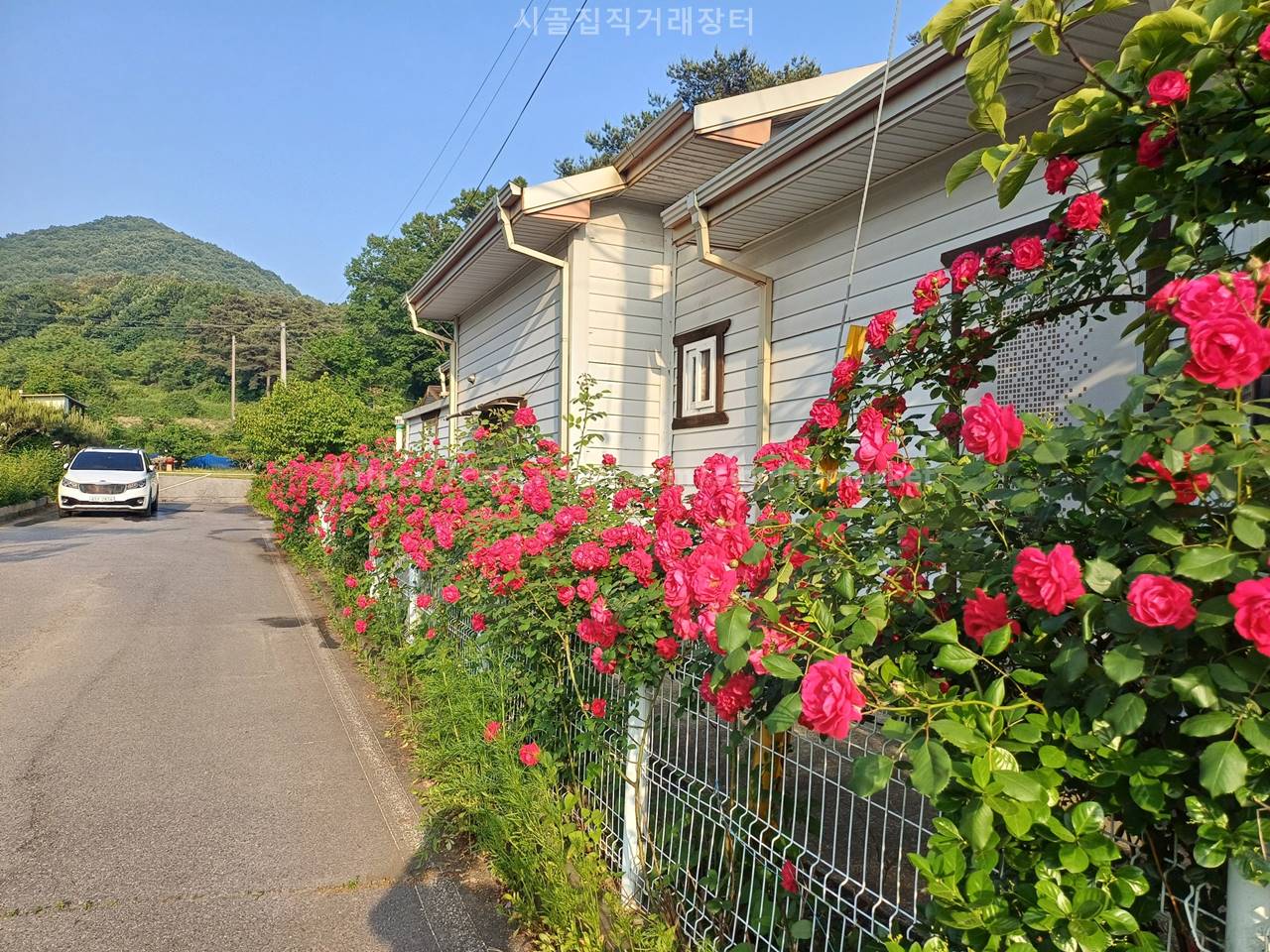 충남 아산 도고면 잘 가꾼 전원주택 시골집 매매 2.jpg