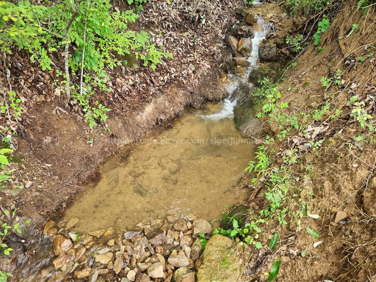 충남 공주 탄천면 주말농장 복층 농막 매매 (3).jpg