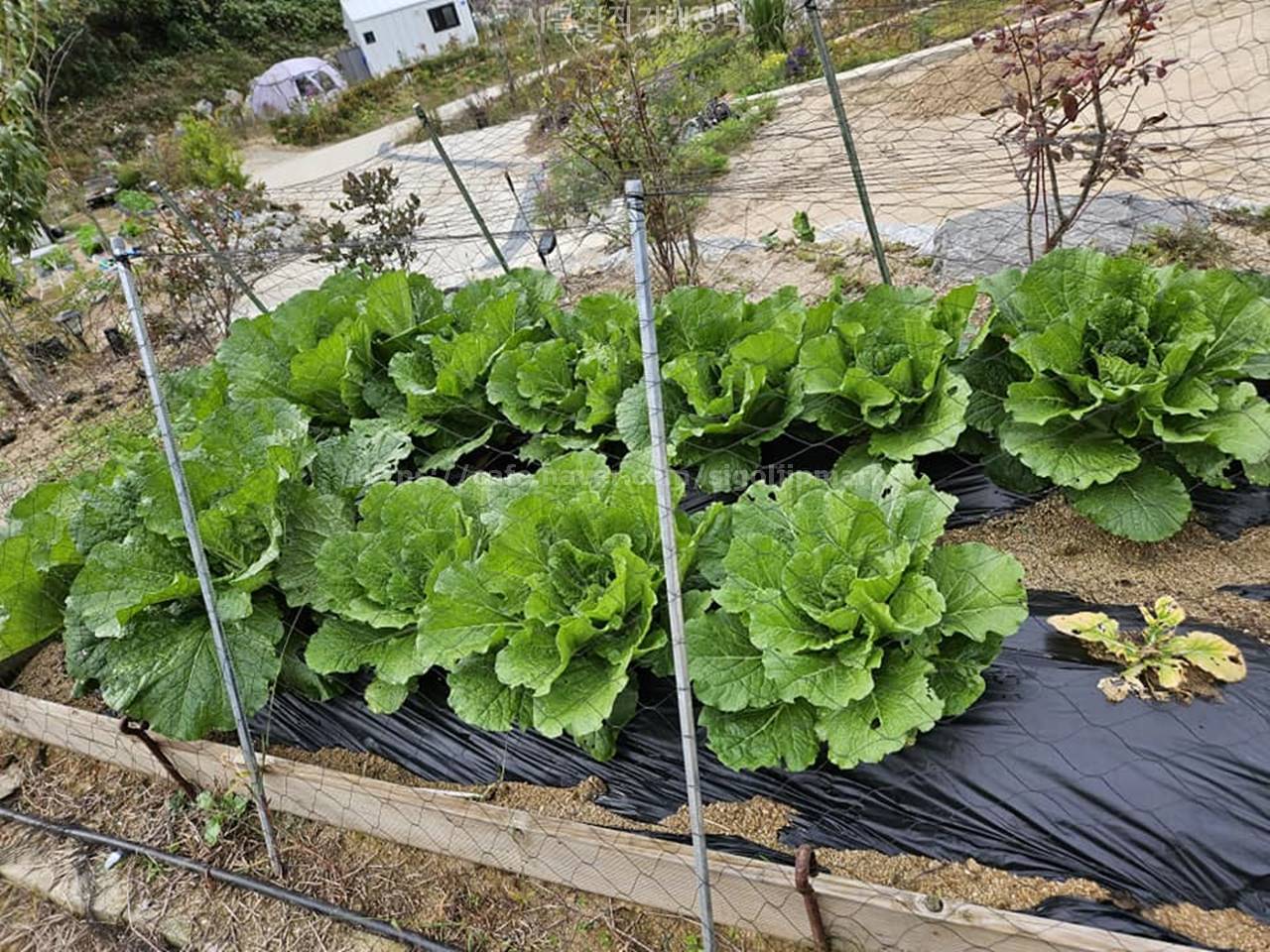 충남 공주 탄천면 주말농장 복층 농막 매매 (5).jpg