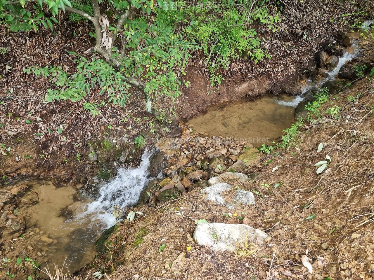 충남 공주 탄천면 주말농장 복층 농막 매매 (4).jpg