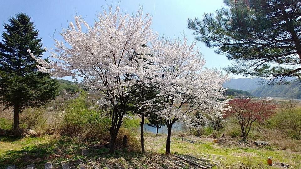 강원도 평창 프라이빗 전원주택 임대 시골집 월세 (2).jpg