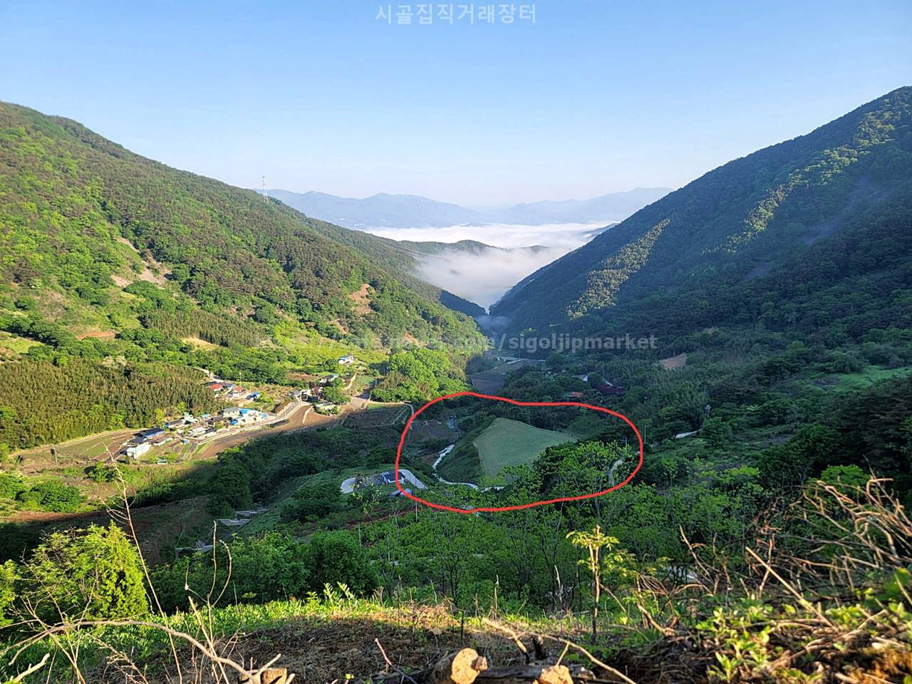 경남 산청 경치 좋고 멋진 땅 임야 매매 (1).jpg