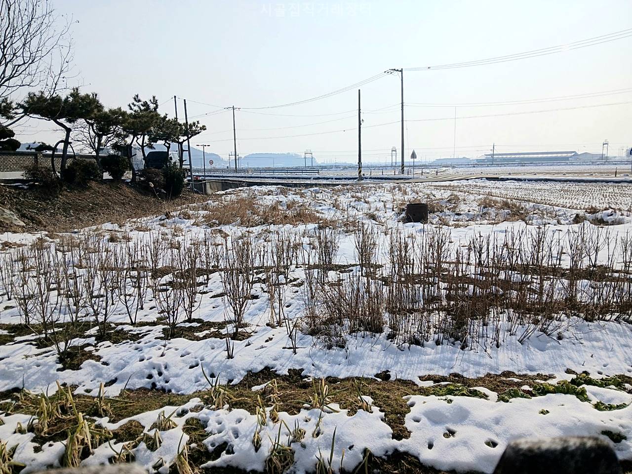 전북 군산 깔끔 시골집 매매 전원주택 급매물 (2).jpeg