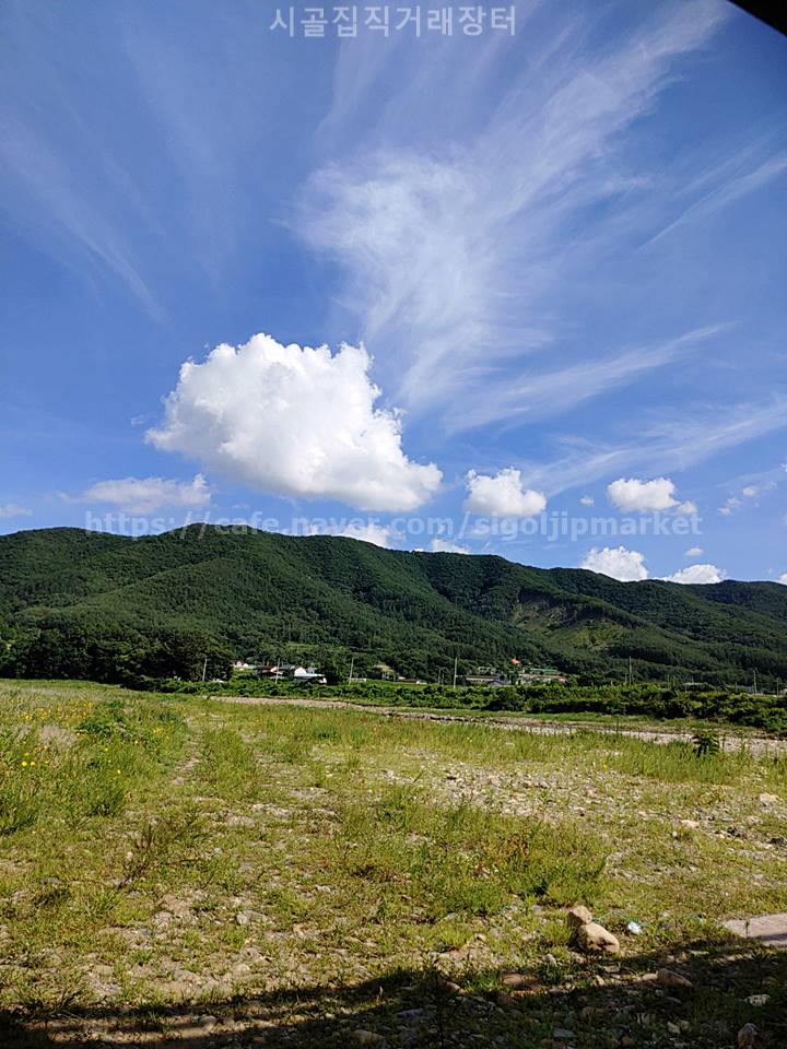 경북 경주 자연속 농막 세컨하우스 토지 매매 7.jpeg