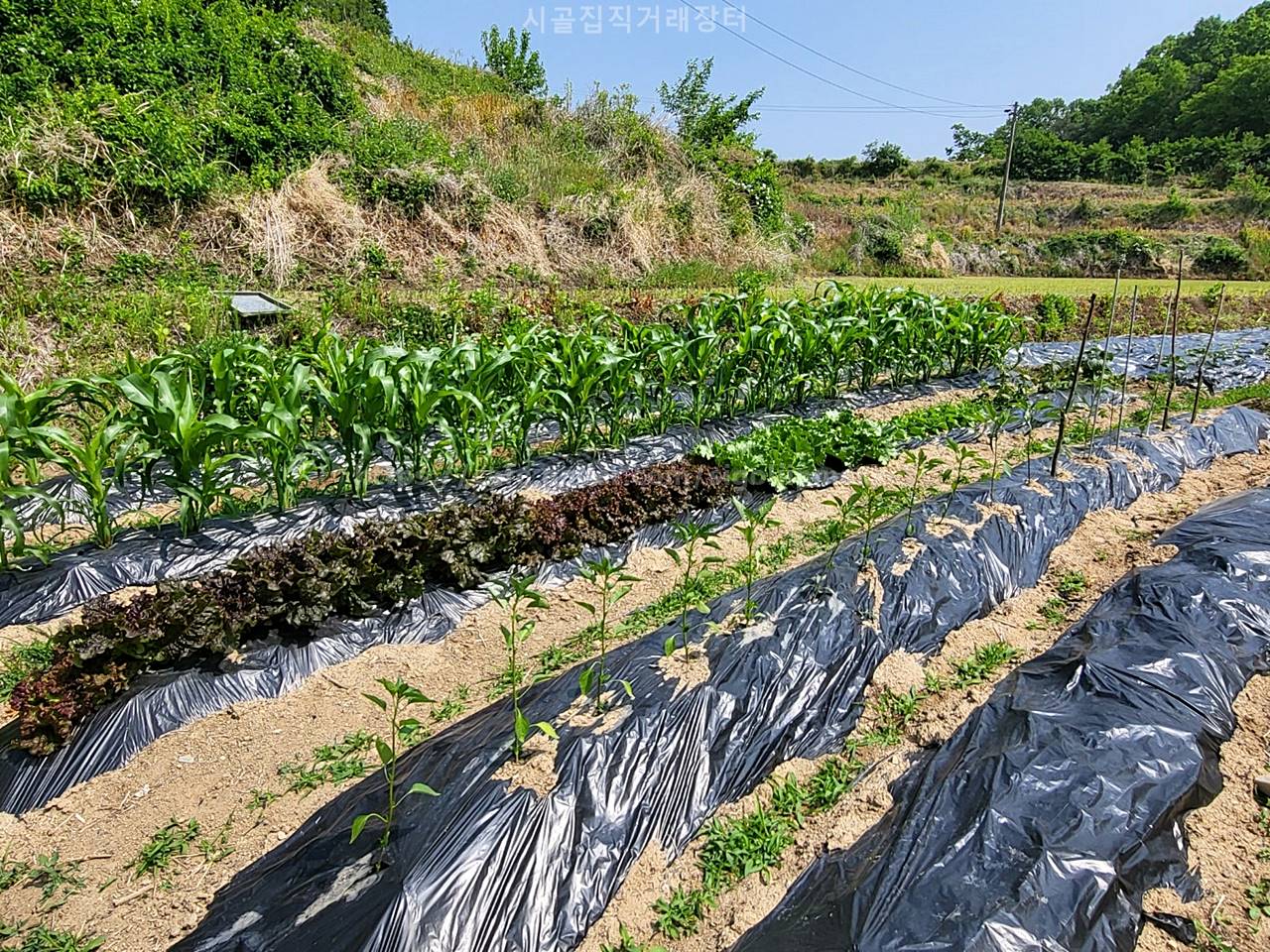 경북 예천 낭만 시골집 매매 세컨하우스 매매 (10).jpg