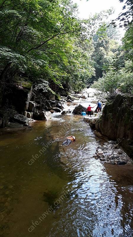 경북 김천 청정 계곡 민박 시골집 매매 (11).jpg