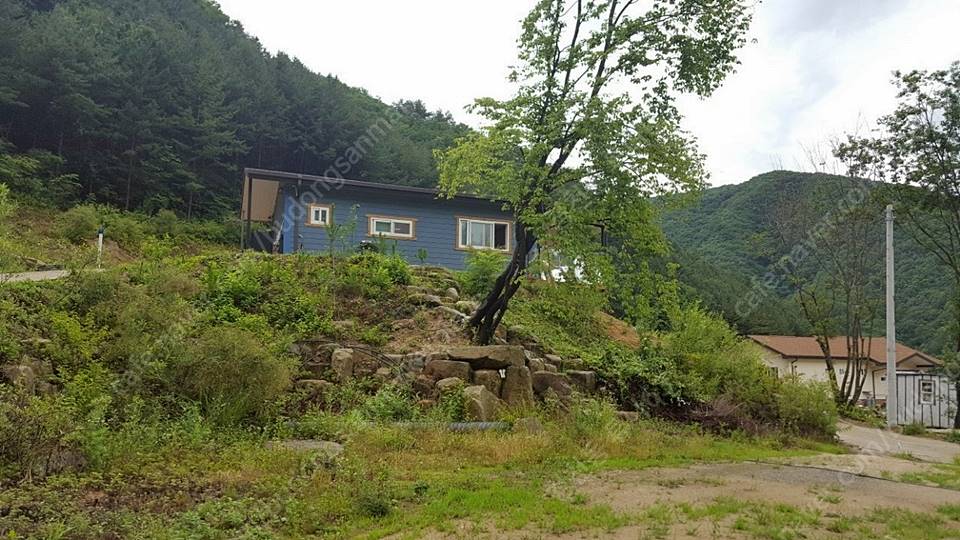 경북 김천 청정 계곡 민박 시골집 매매 (4).jpg