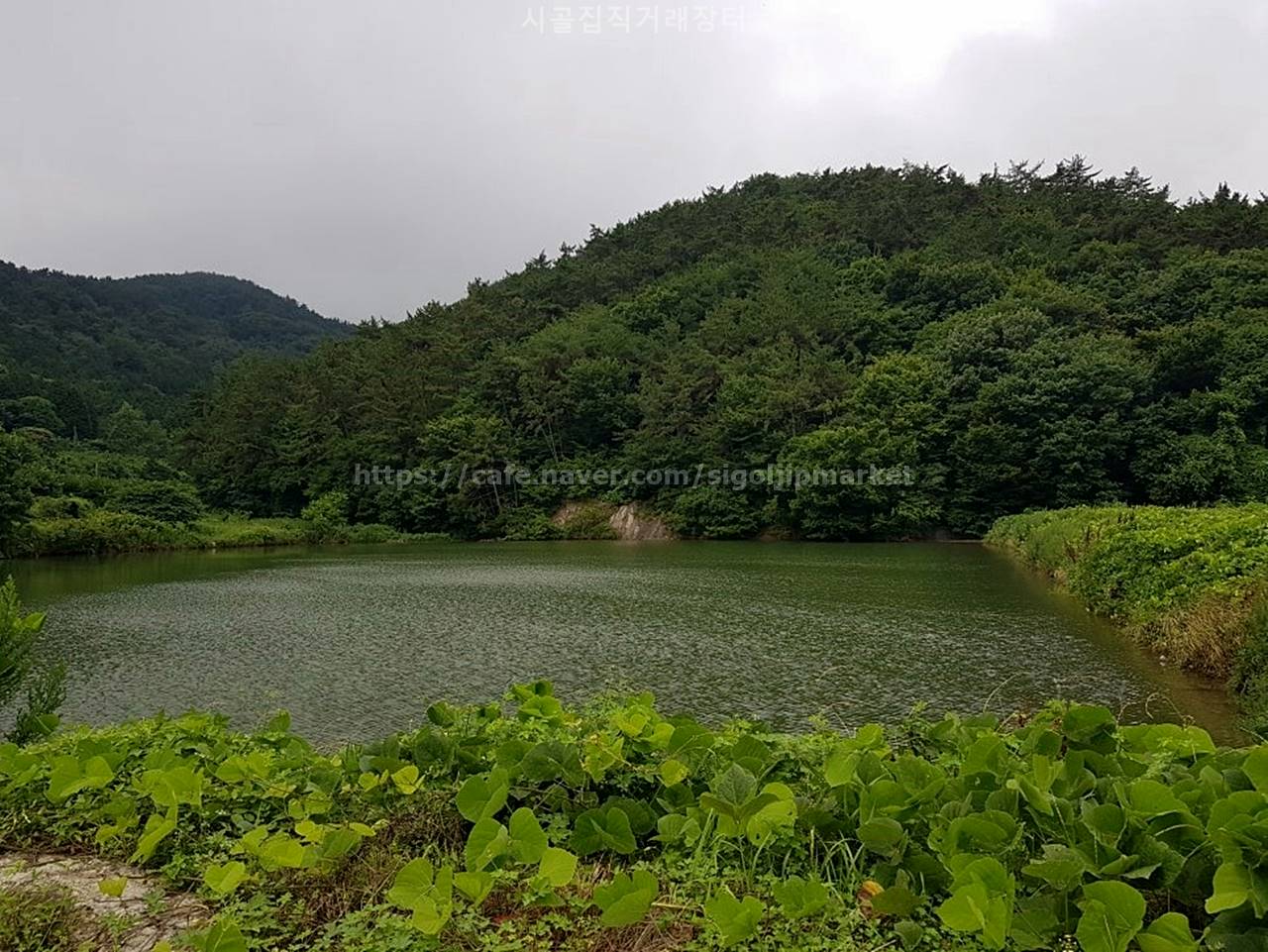 경남 통영 편안한 시골집 매매 촌집 매매 (10).jpeg