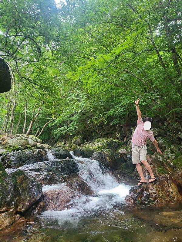 충북 영동 청정 계곡 주택 월세 시골집 임대 (8).jpeg