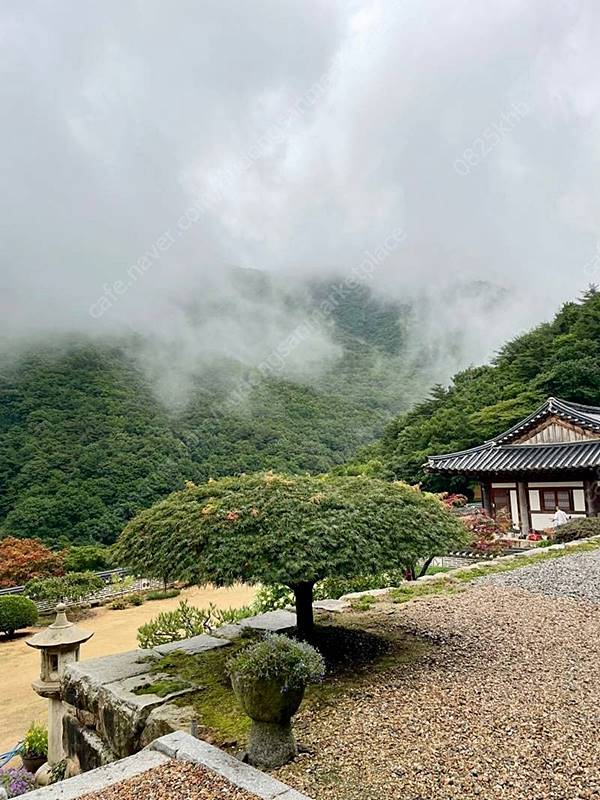 충북 영동 청정 계곡 주택 월세 시골집 임대 (5).jpeg