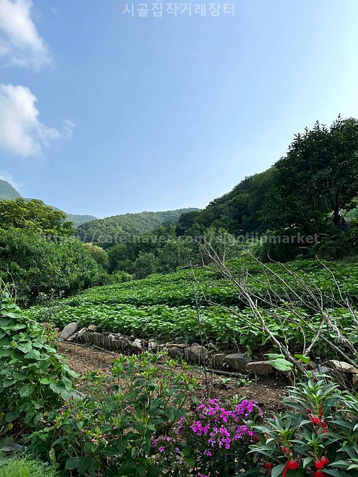 충북 단양 청정 시골집 매매 촌집 매매 4.jpg