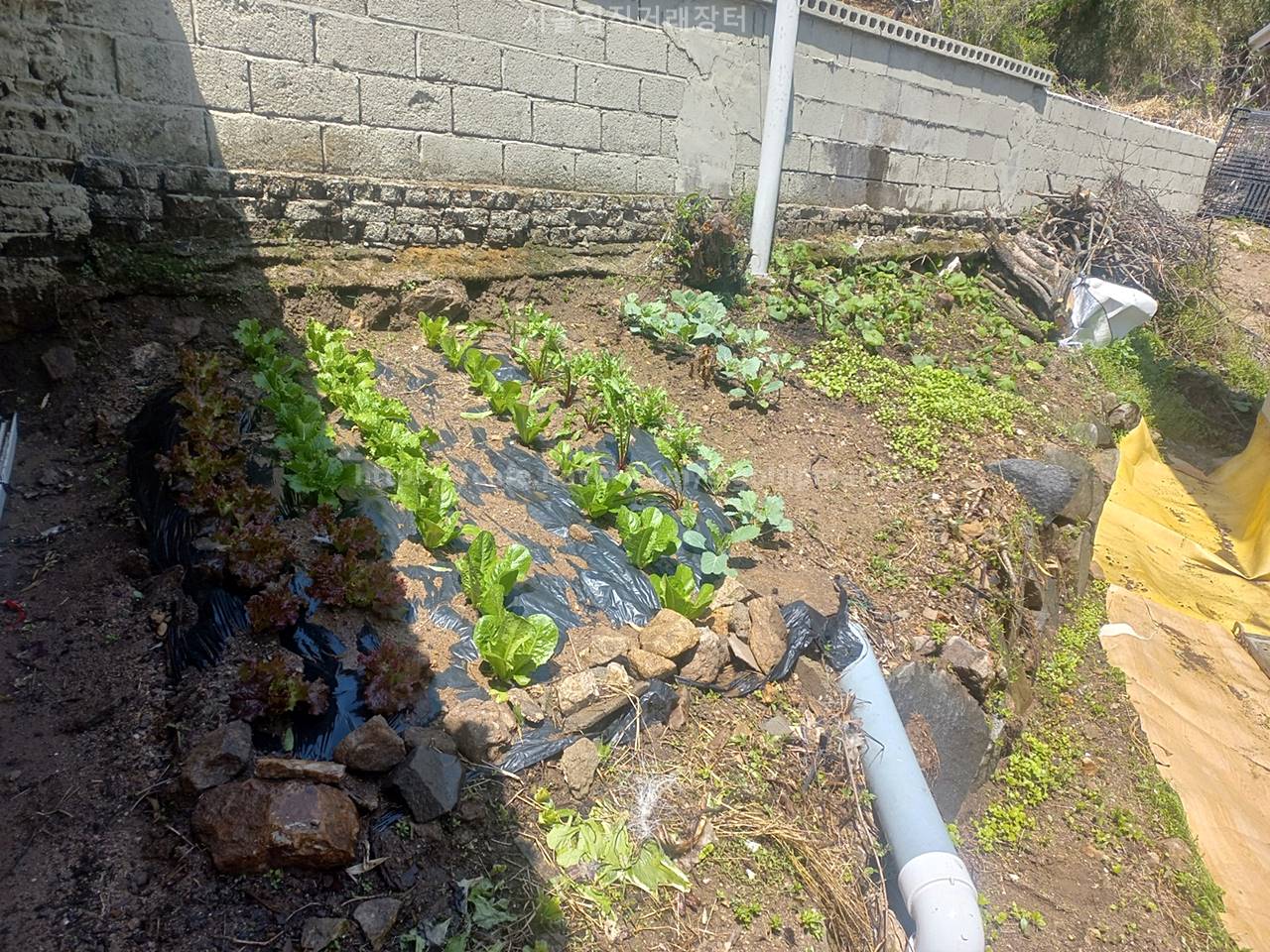 충남 청양 작은 황토 시골집 전세 임대 (3).jpeg