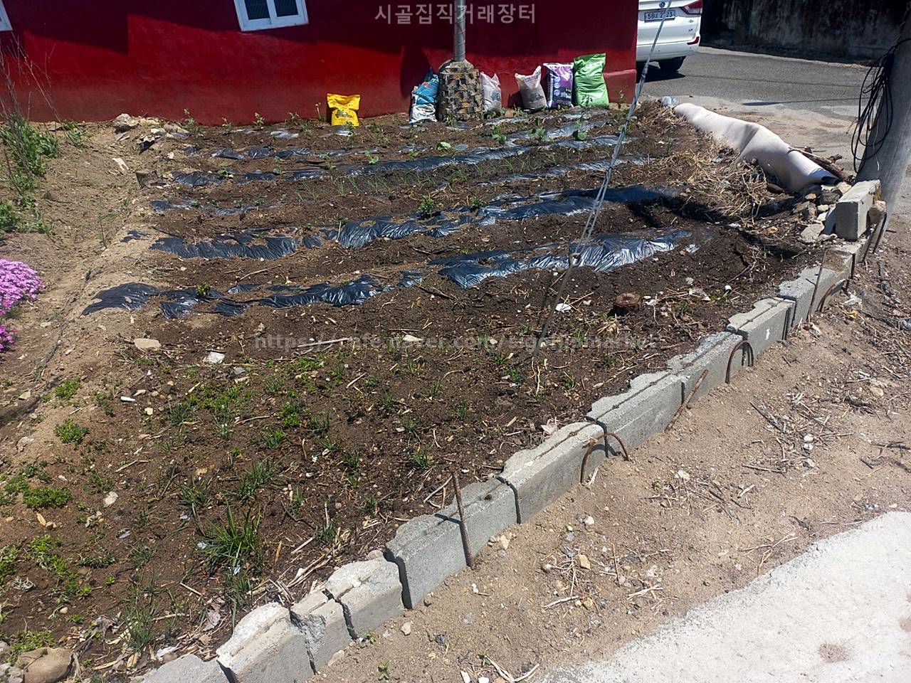 충남 청양 작은 황토 시골집 전세 임대 (6).jpeg