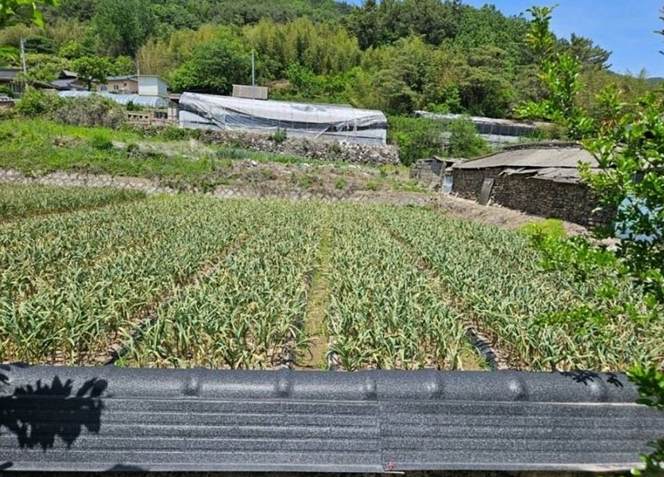 경남 합천 작은 시골집 매매 주말농장 매매 (8).jpg
