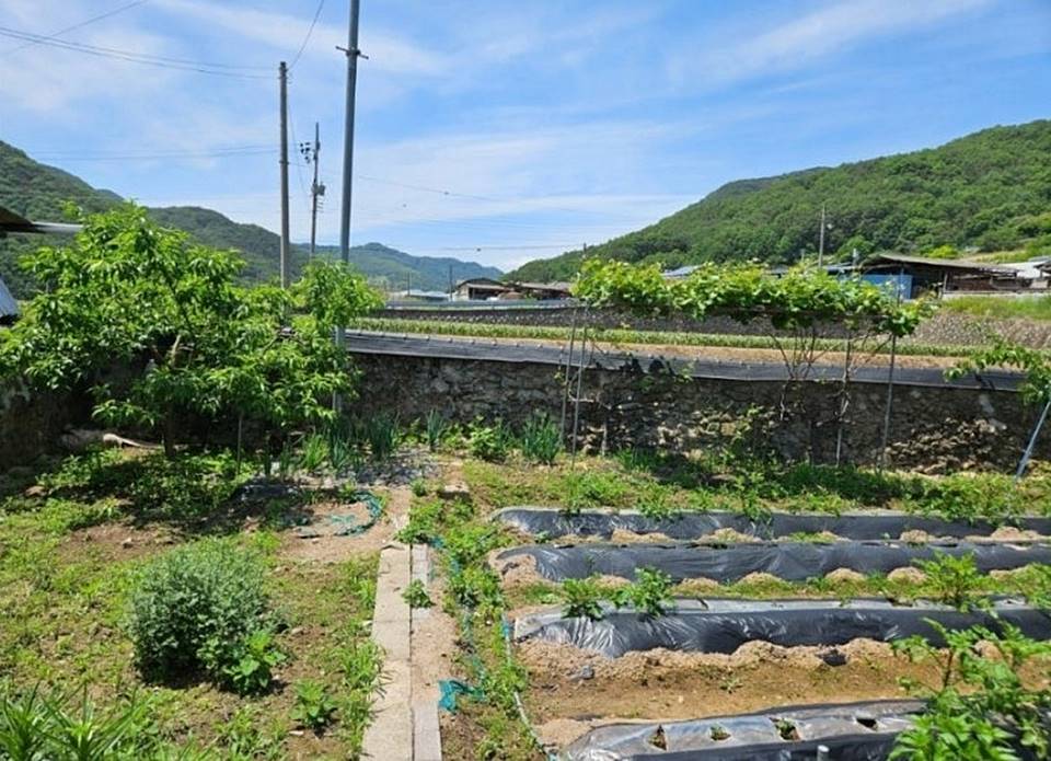 경남 합천 작은 시골집 매매 주말농장 매매 (5).jpg