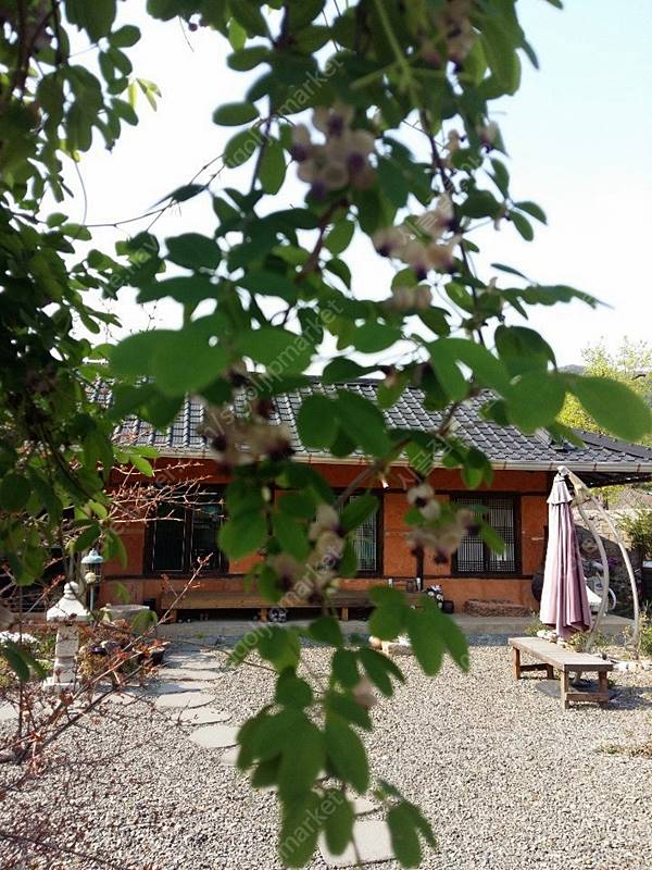 경북 경주 예쁜 구옥 촌집 매매 시골집 매매 6.jpg